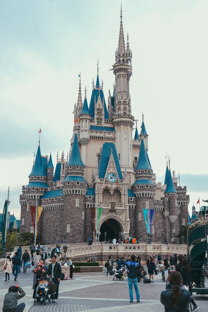 Disney Castle Amusement Parks