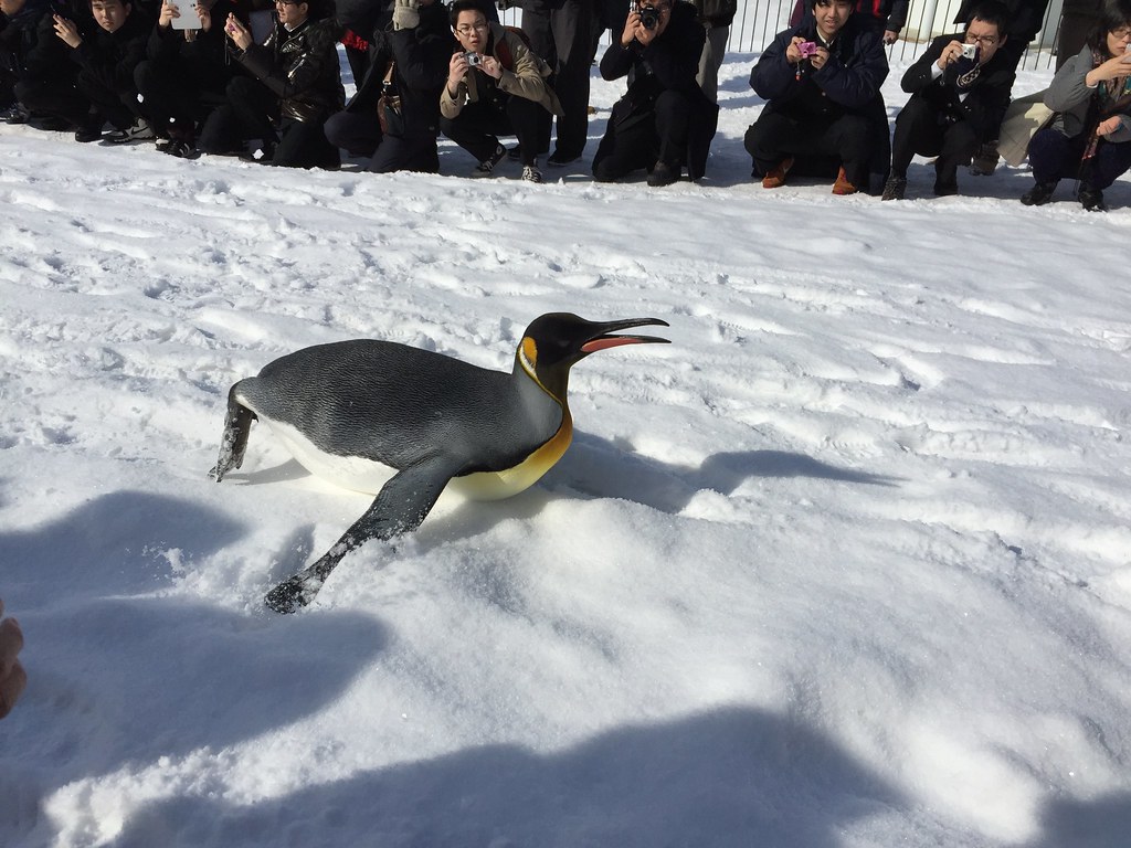 asahiyama Sapporo
