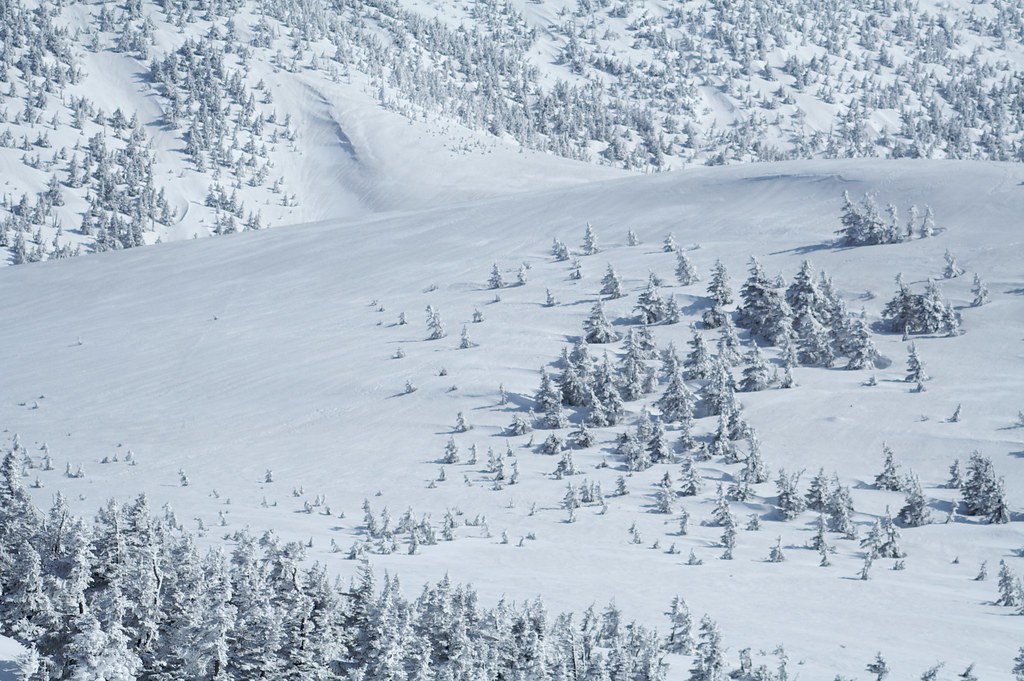 hakkoda mountain Japan's Best Winter Spots