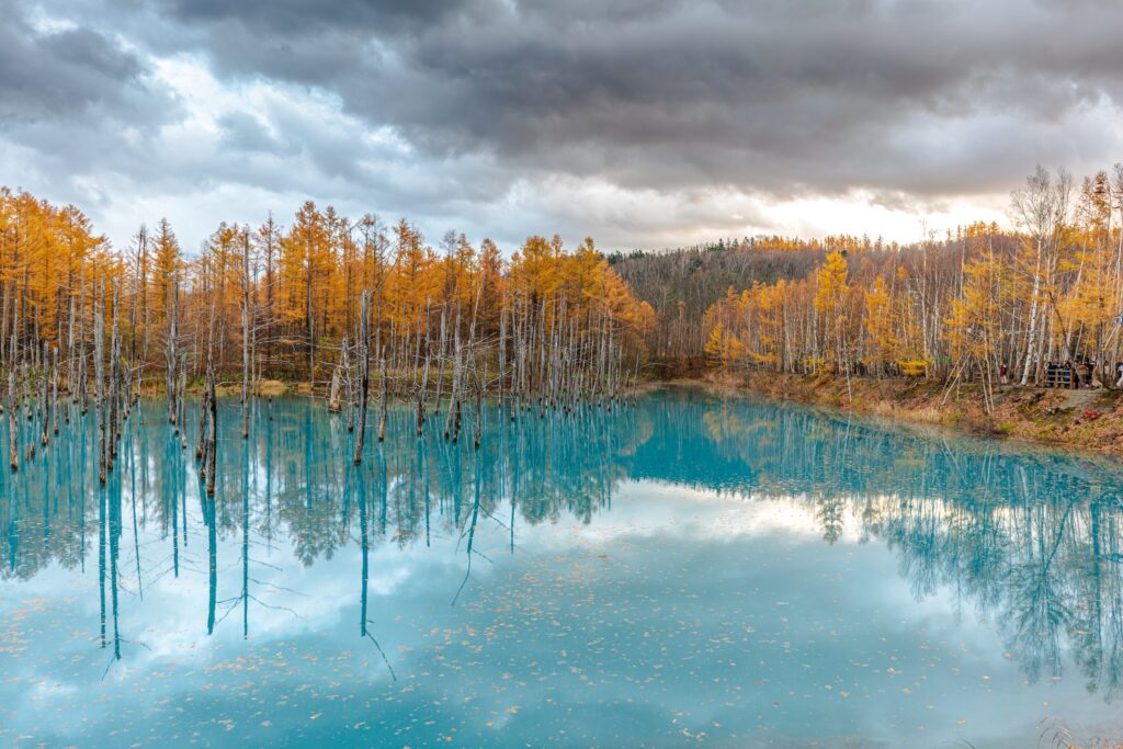 furano, hokkaido