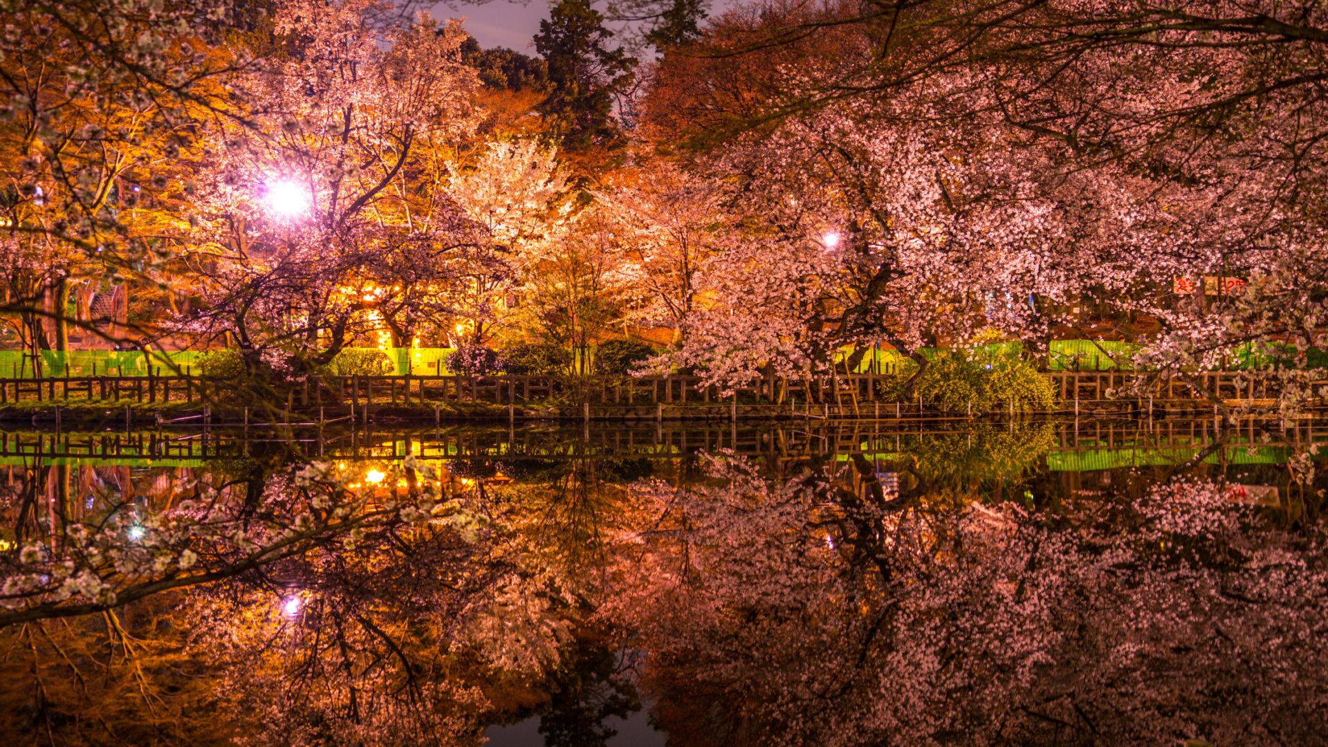 The Best Parks in Tokyo That Will Amaze You